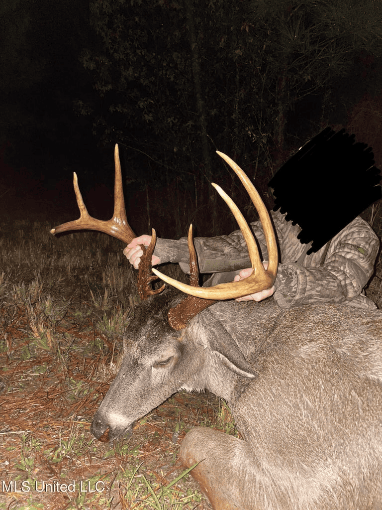 Country Home For Sale in Amite County, MS