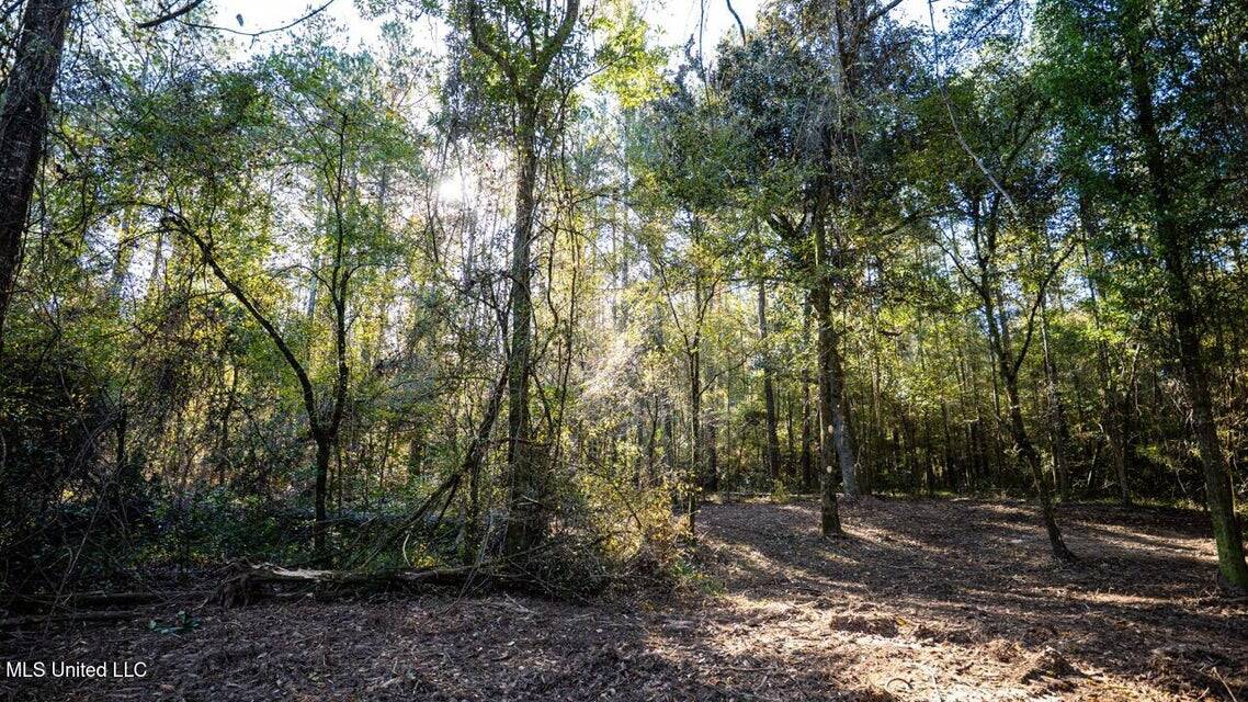 233-Acre Paradise on the Tickfaw River, Osyka, Amite County, MS