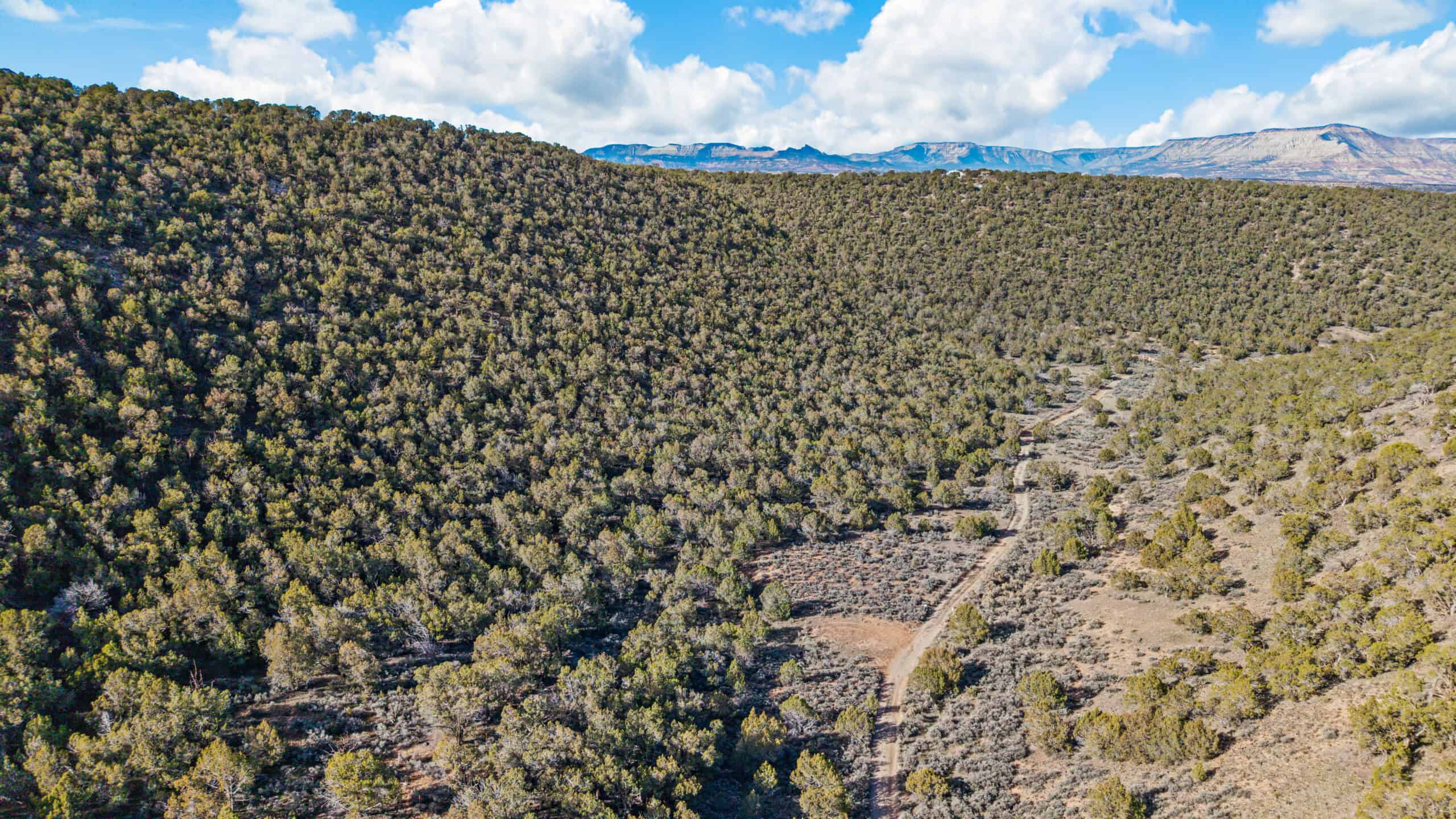 Off-Grid Cabin on Acreage For Sale in De Beque, CO