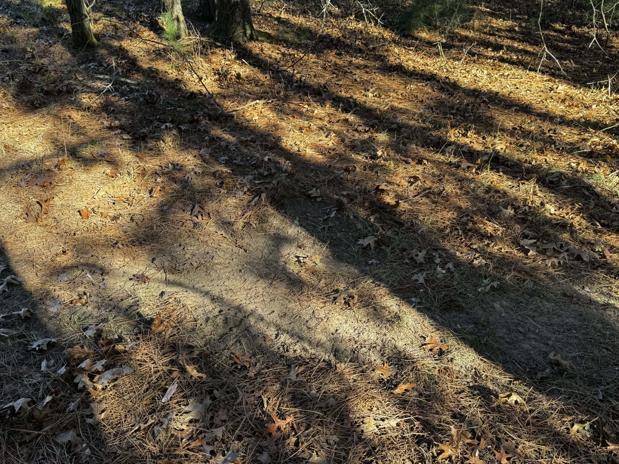 118± Acre Portage County WI Ag and Hunting Property