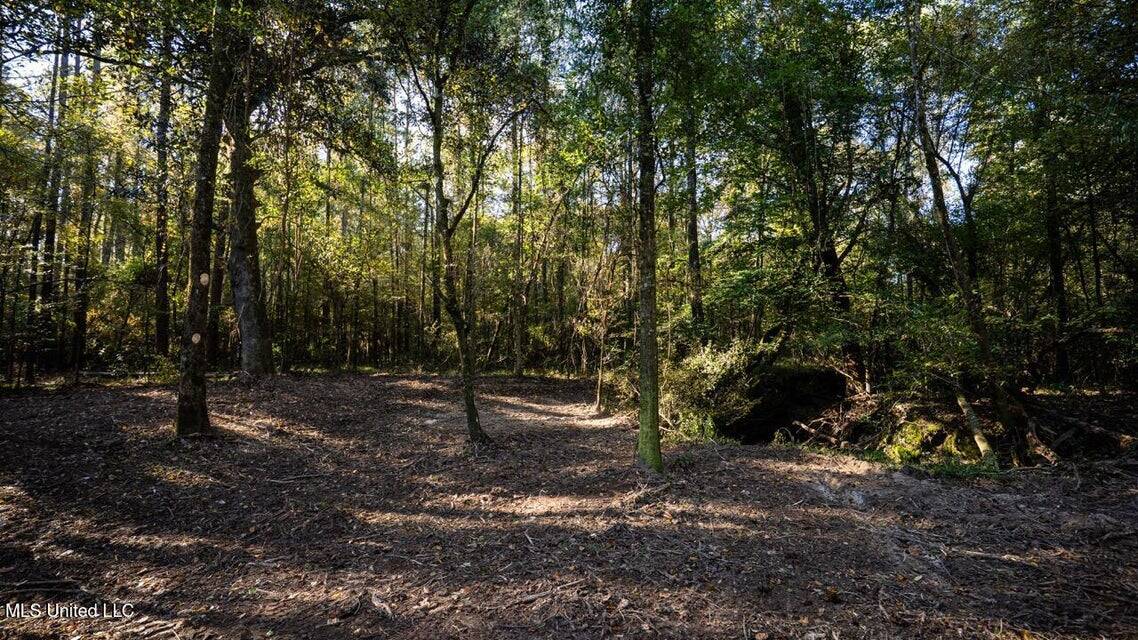 233-Acre Paradise on the Tickfaw River, Osyka, Amite County, MS