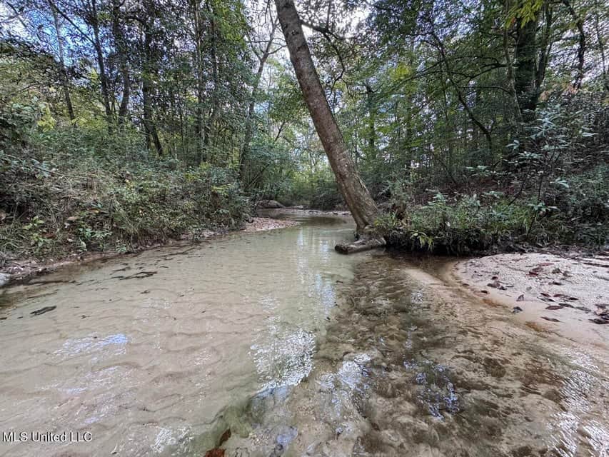 Hunting Land for Sale in Amite County, Mississippi