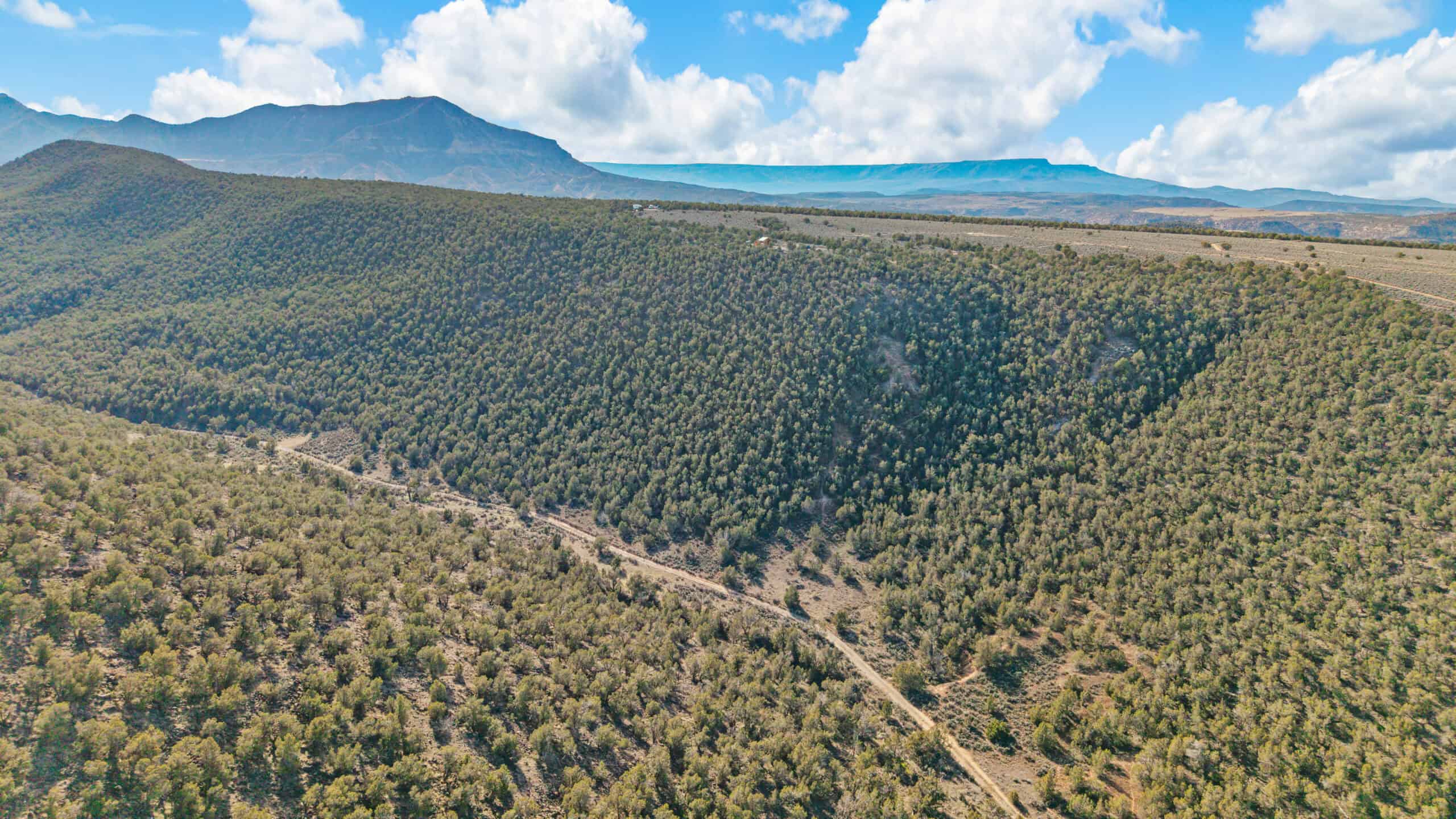 Off-Grid Cabin on Acreage For Sale in De Beque, CO