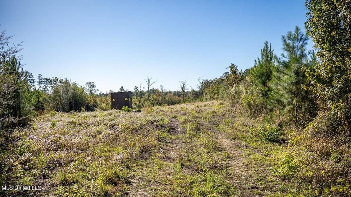 113 Acres of Hunting Land in Liberty, Mississippi