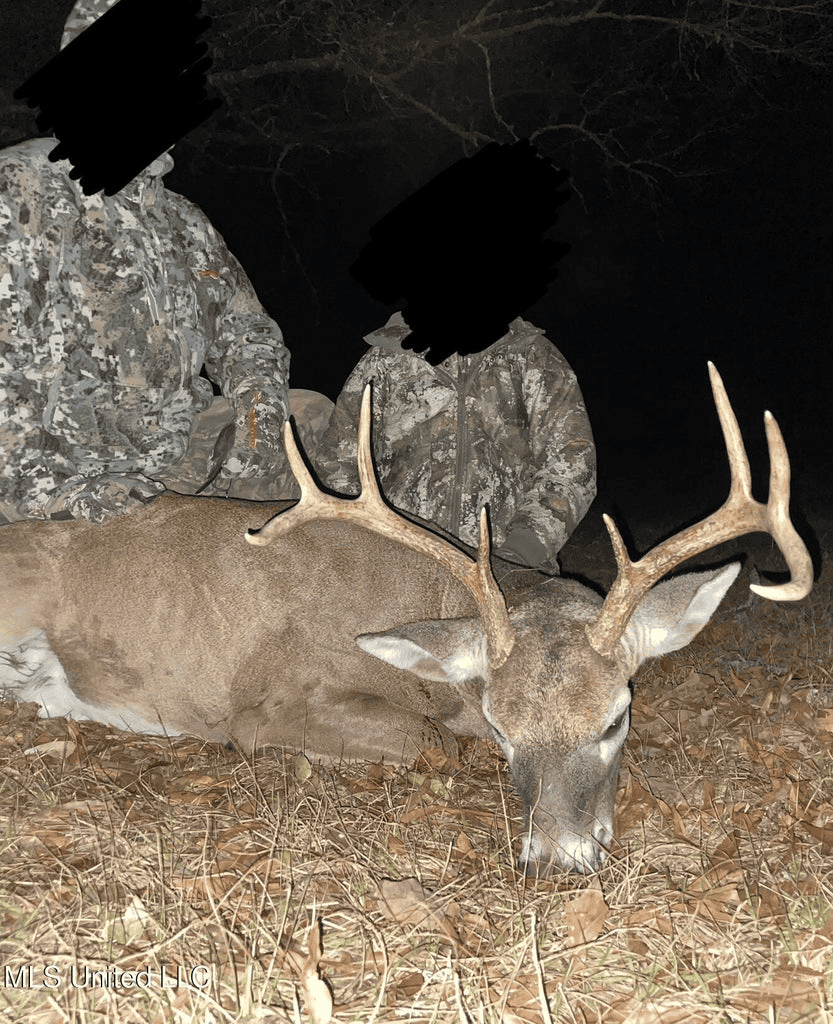 Country Home For Sale in Amite County, MS