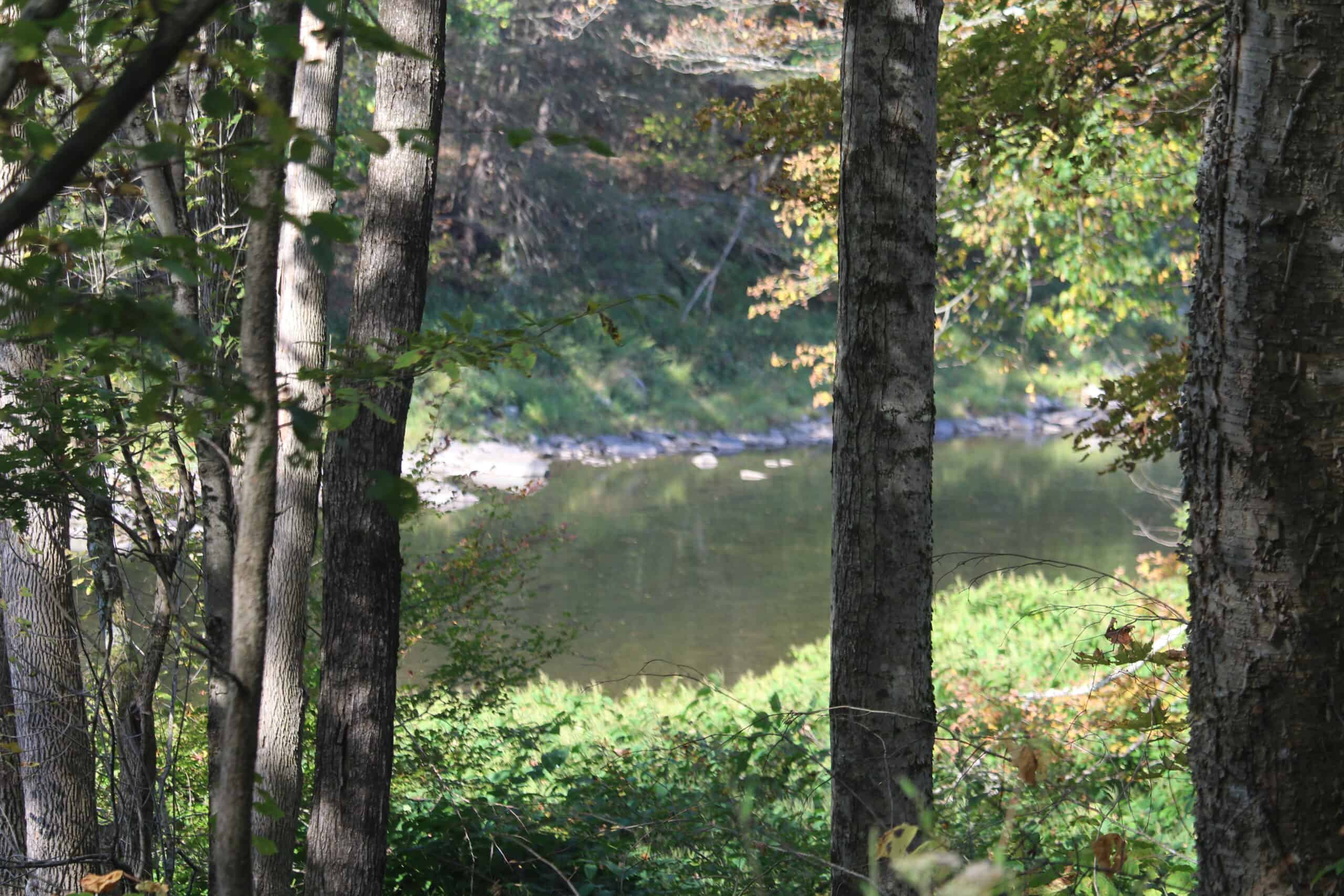 Catskills Hunting and Fishing Land For Sale in New York