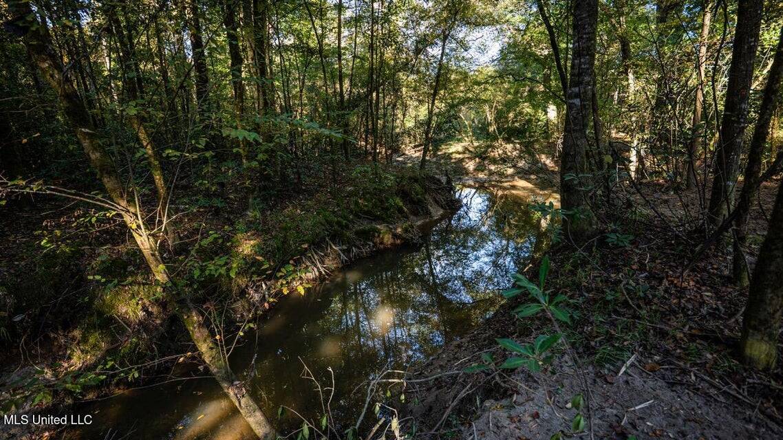 233-Acre Paradise on the Tickfaw River, Osyka, Amite County, MS