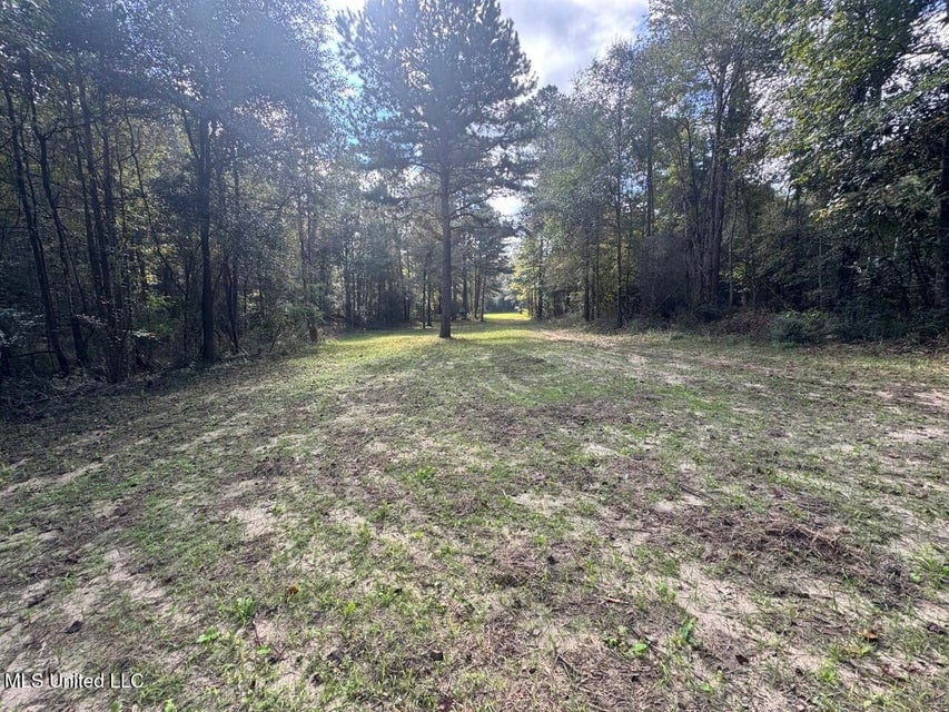 Hunting Land for Sale in Amite County, Mississippi