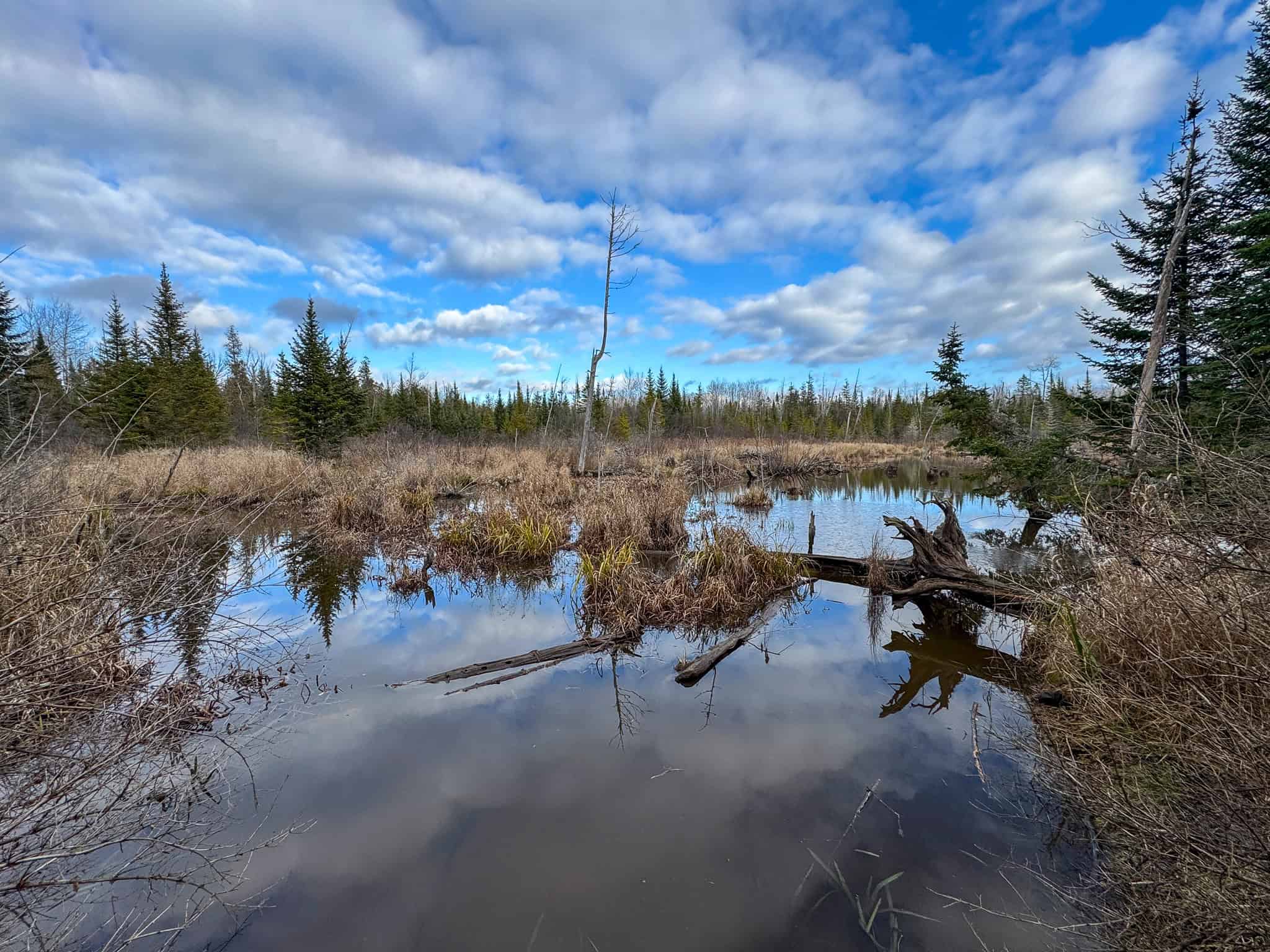 2,000 Sq. Ft. Log Home on 48 Acres  – Milo, Maine
