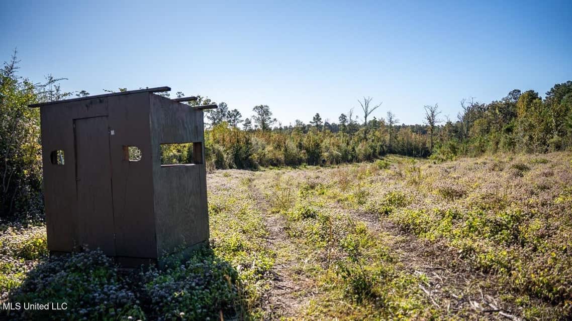 113 Acres of Hunting Land in Liberty, Mississippi