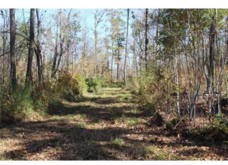 Northwoods Paradise w/ Trails & Ponds For Sale in Isle, MN