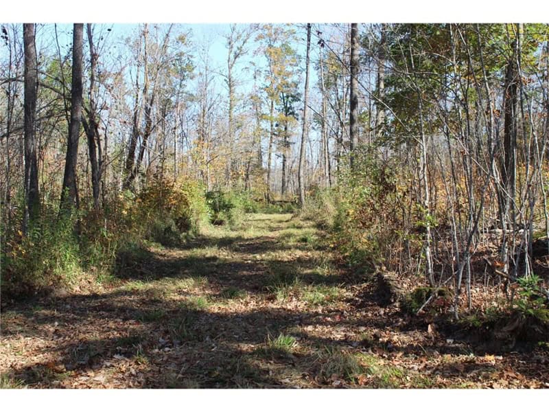 Northwoods Paradise w/ Trails & Ponds For Sale in Isle, MN