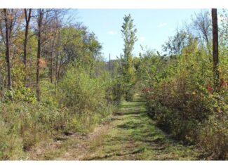 Northwoods Paradise w/ Trails & Ponds For Sale in Isle, MN