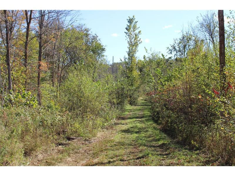 Northwoods Paradise w/ Trails & Ponds For Sale in Isle, MN