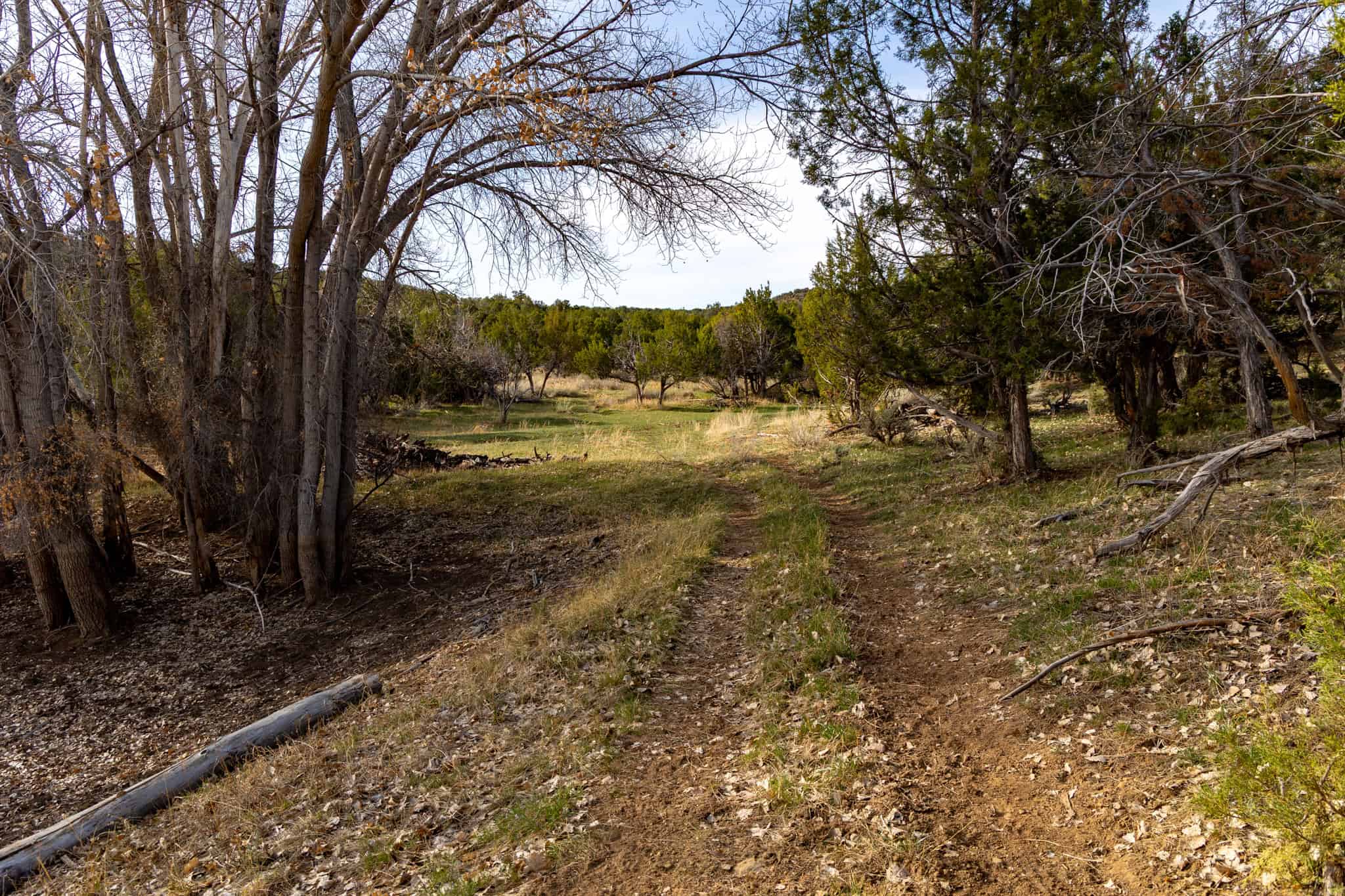 278± Acre Horsefly Ranch