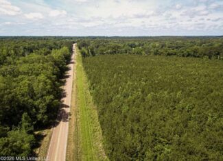 108+- Acres on the Bogue Chitto River Summit, Mississippi