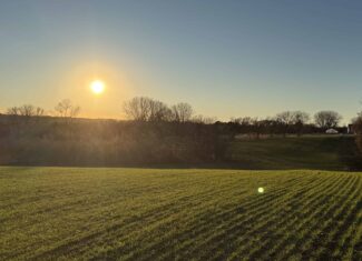 Truly Remarkable Parcel of Hunting Land Green Lake, WI