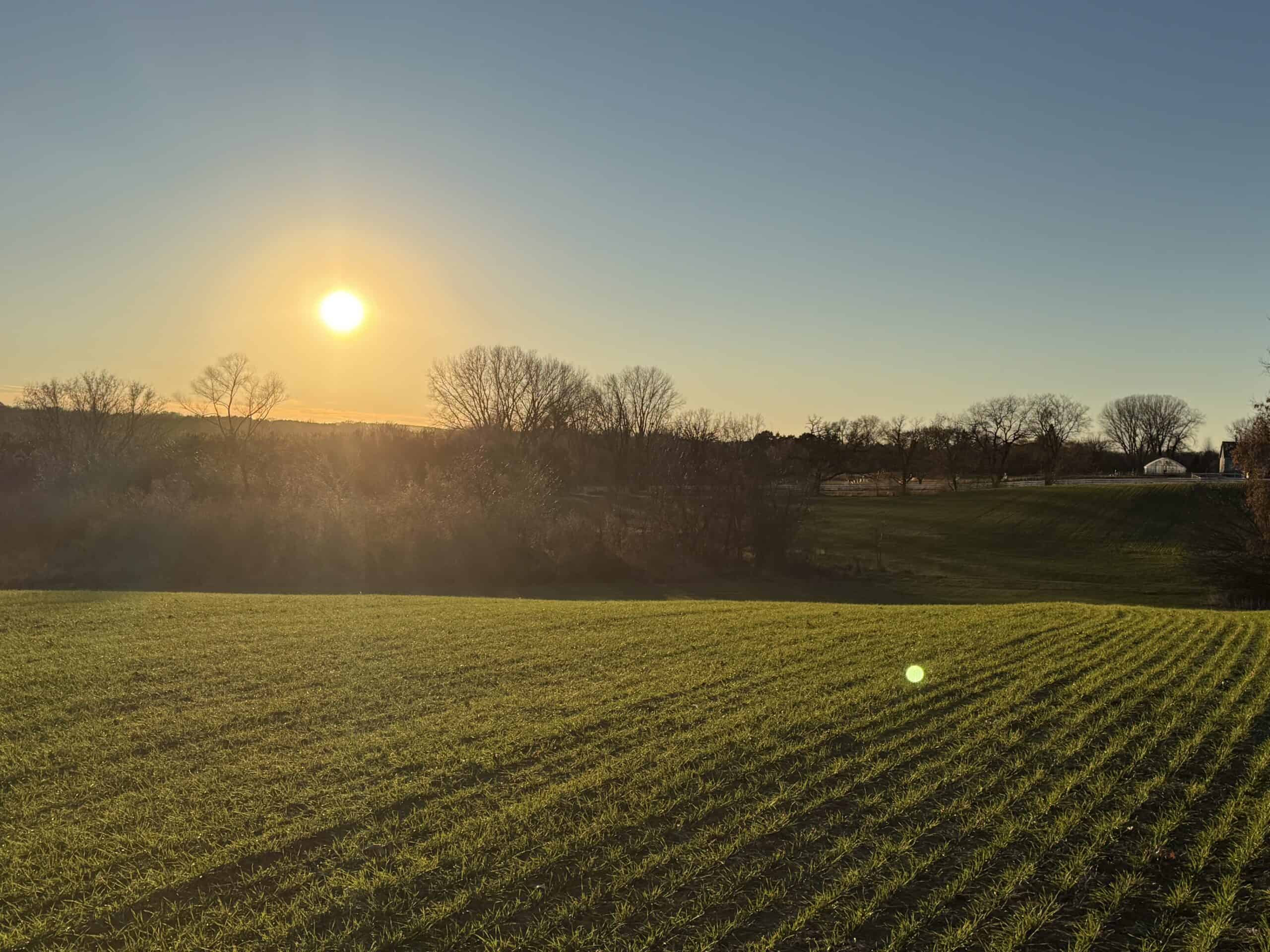 Truly Remarkable Parcel of Hunting Land Green Lake, WI