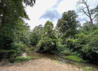 113± Acres for Sale in Osyka, MS on Tickfaw River