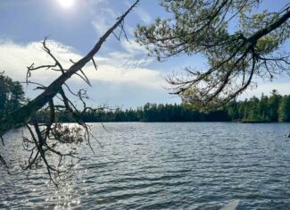 41 Acres with 1330 Ft on Long Lake – Northfield, ME