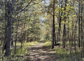 158.8 Acres Creek Frontage Clay County MS