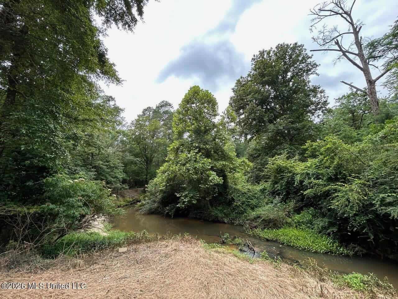 113± Acres for Sale in Osyka, MS on Tickfaw River