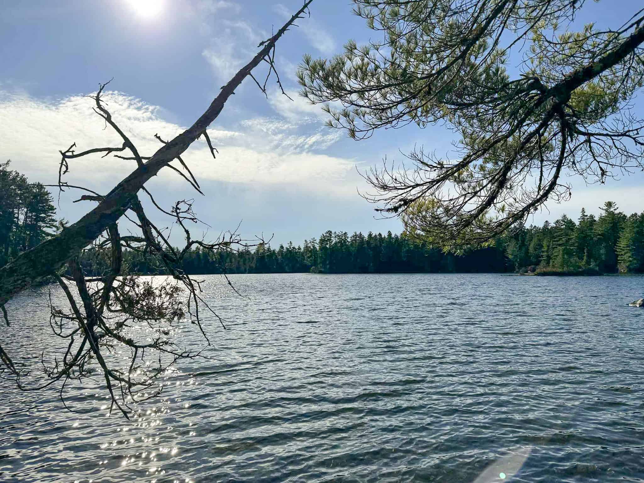 41 Acres with 1330 Ft on Long Lake – Northfield, ME