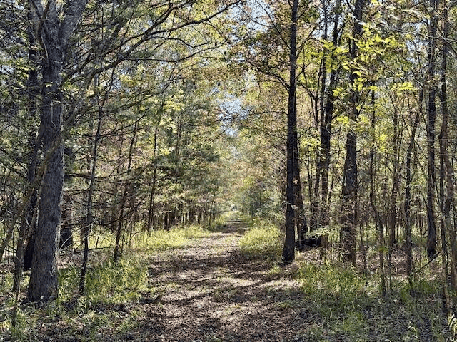 158.8 Acres Creek Frontage Clay County MS