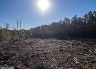 113 Acres of Hunting Land in Liberty, Mississippi