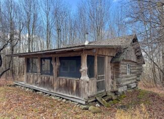 Peaceful Log Cabin Retreat with 128.8 Acres