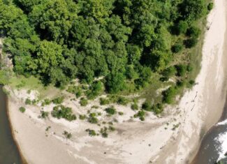 108+- Acres on the Bogue Chitto River Summit, Mississippi