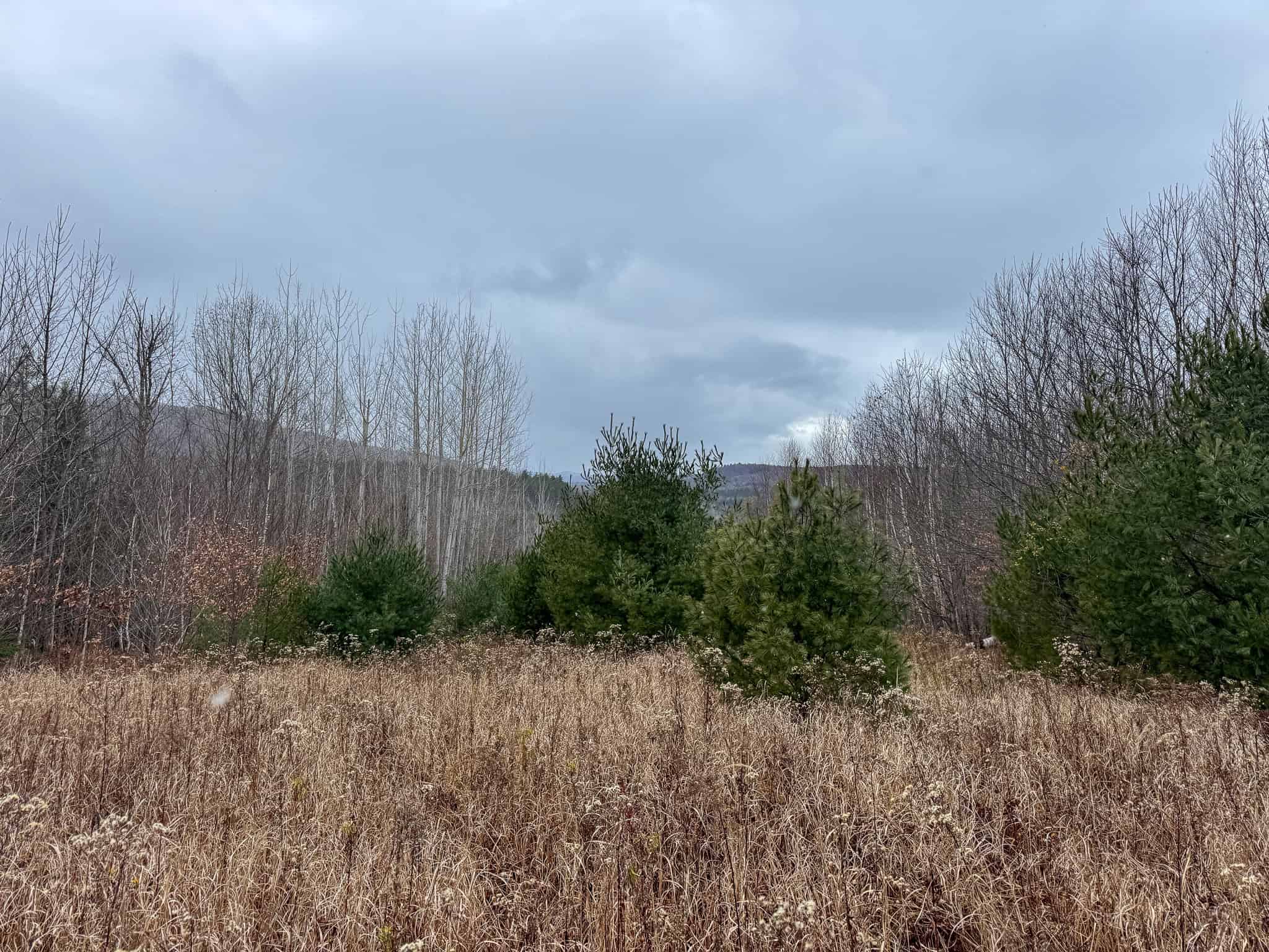 82 Acres with a Mountain View – Strong, Maine