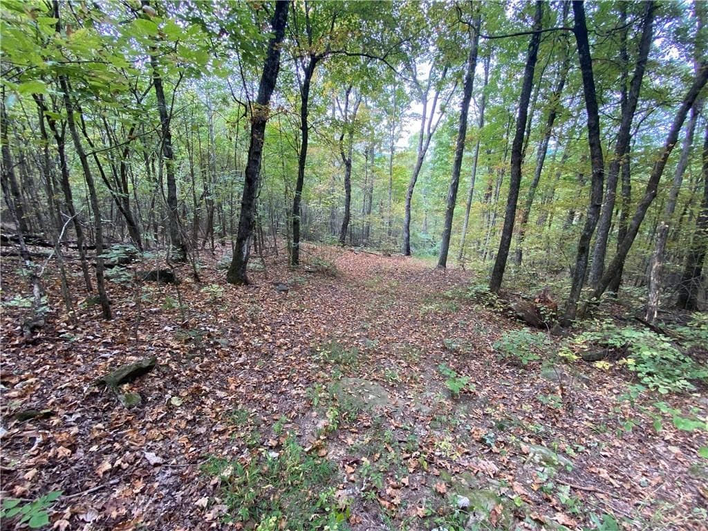 39.75 Newton County Hunting Land/Timber Property For Sale Low Gap