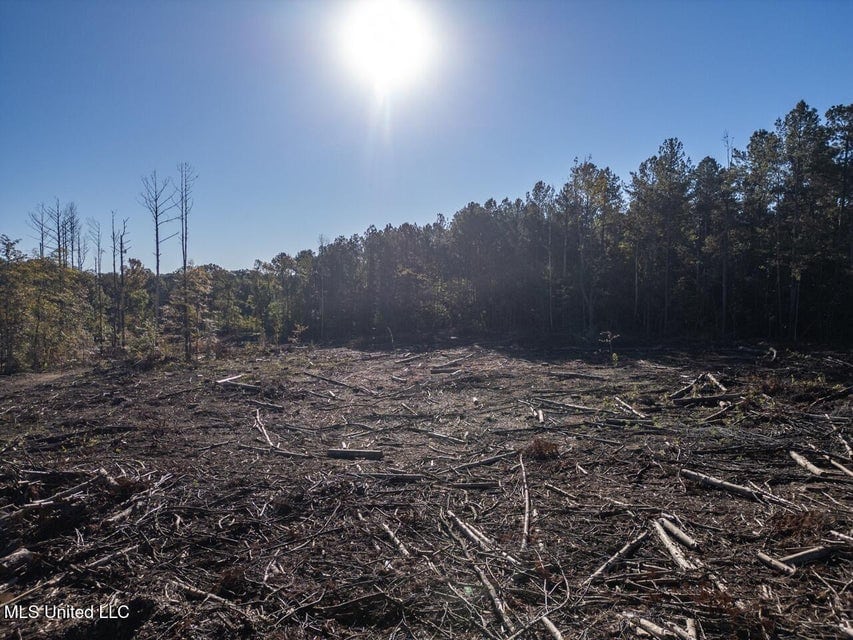 113 Acres of Hunting Land in Liberty, Mississippi