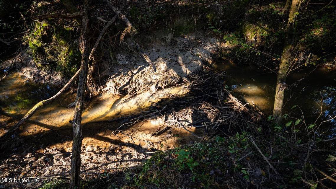 233-Acre Paradise on the Tickfaw River, Osyka, Amite County, MS