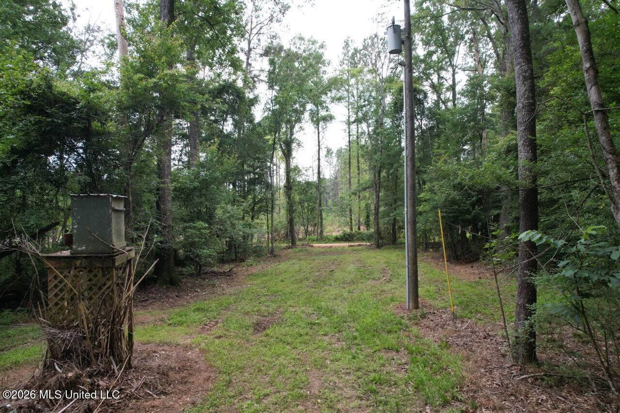 113± Acres for Sale in Osyka, MS on Tickfaw River