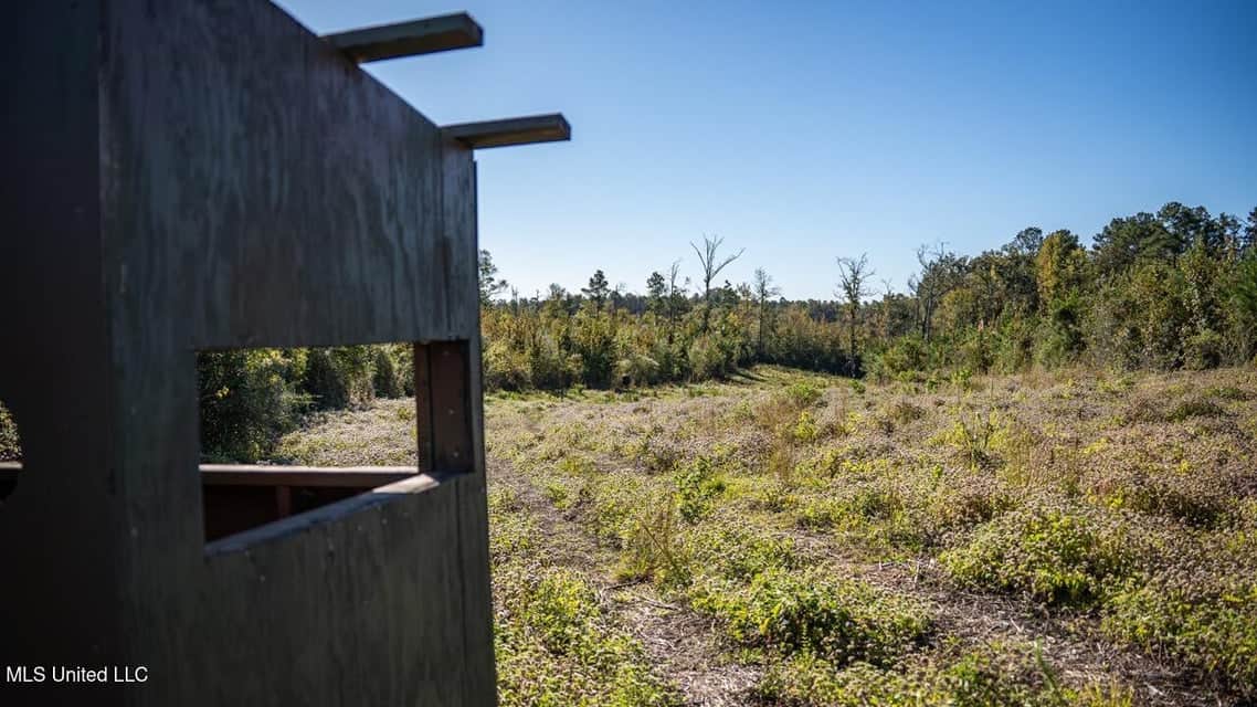 113 Acres of Hunting Land in Liberty, Mississippi