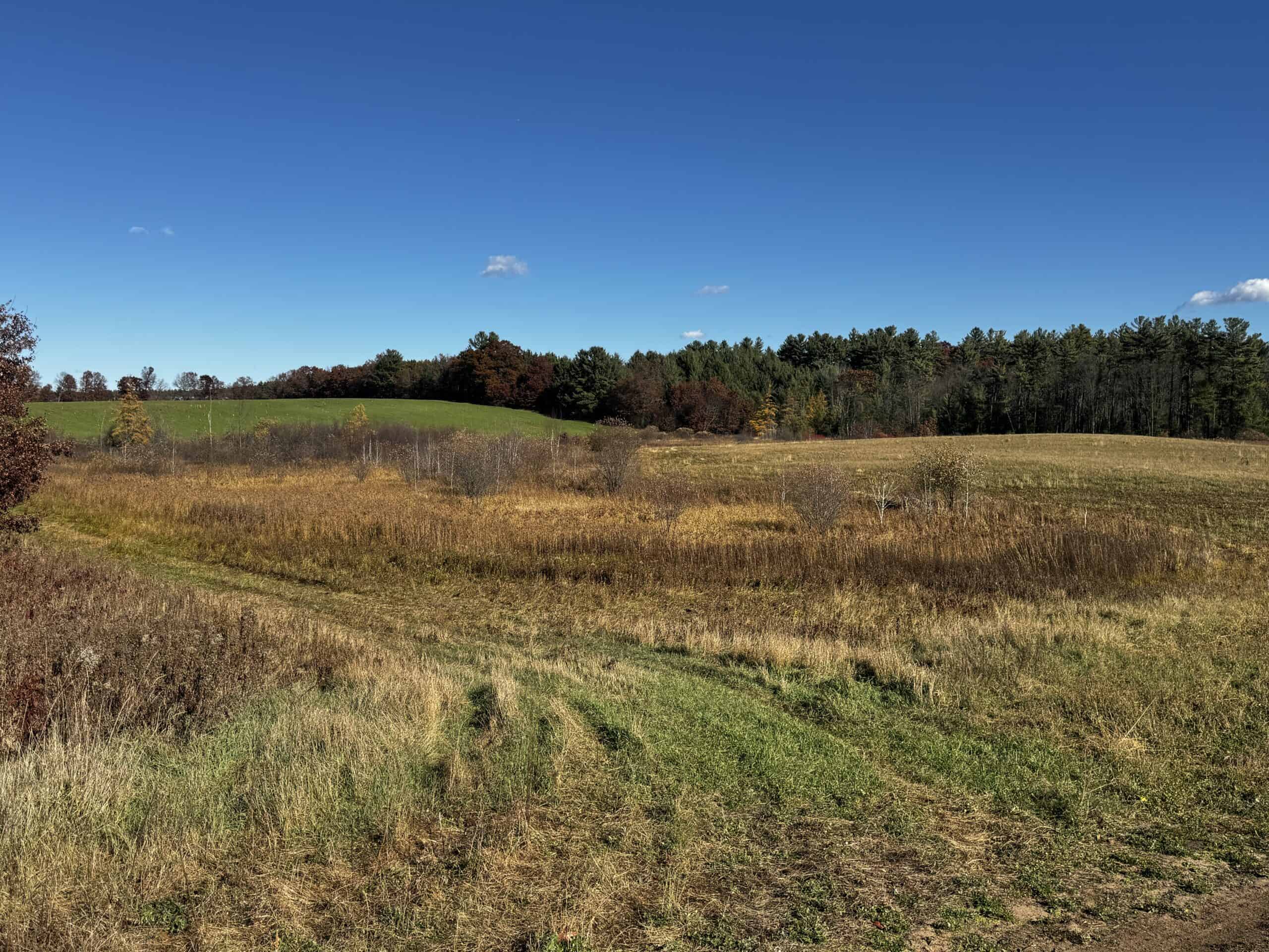 118± Acre Portage County WI Ag and Hunting Property