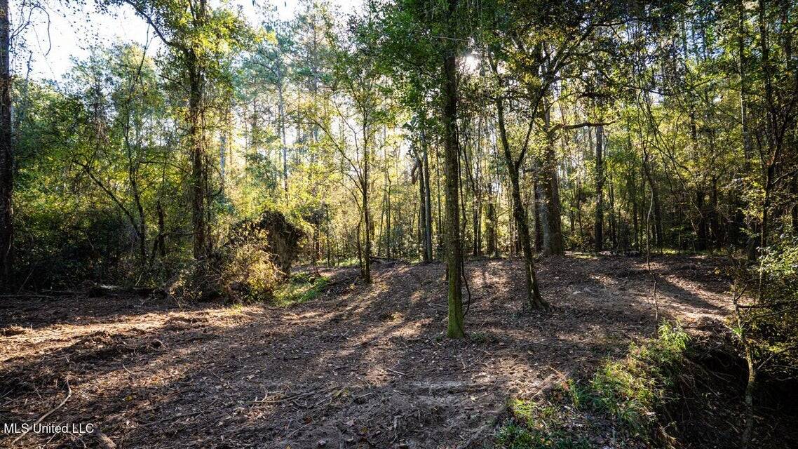 233-Acre Paradise on the Tickfaw River, Osyka, Amite County, MS