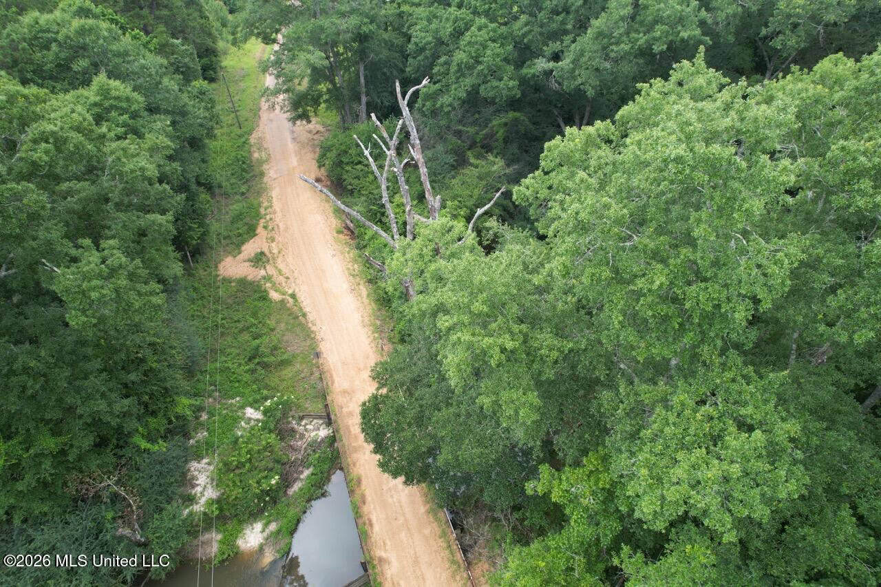 113± Acres for Sale in Osyka, MS on Tickfaw River