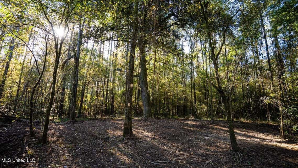 233-Acre Paradise on the Tickfaw River, Osyka, Amite County, MS