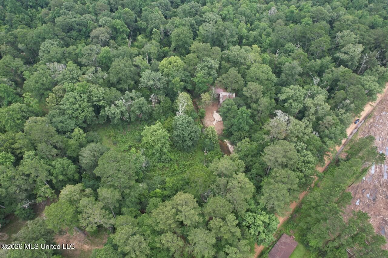 113± Acres for Sale in Osyka, MS on Tickfaw River