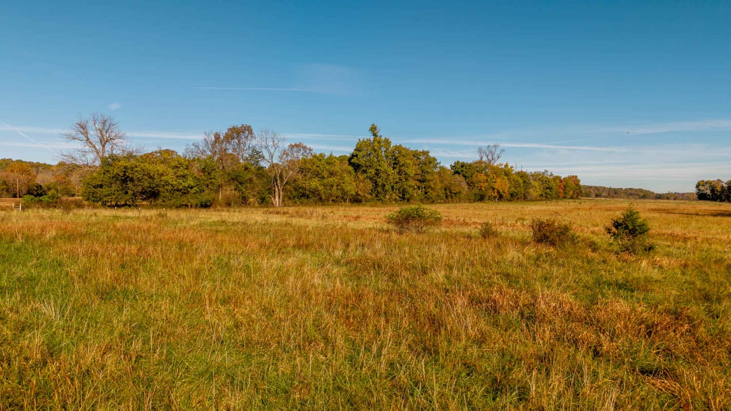 15256 Highway 9, Mammoth Spring, Arkansas