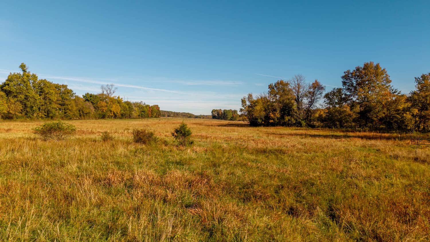 15256 Highway 9, Mammoth Spring, Arkansas