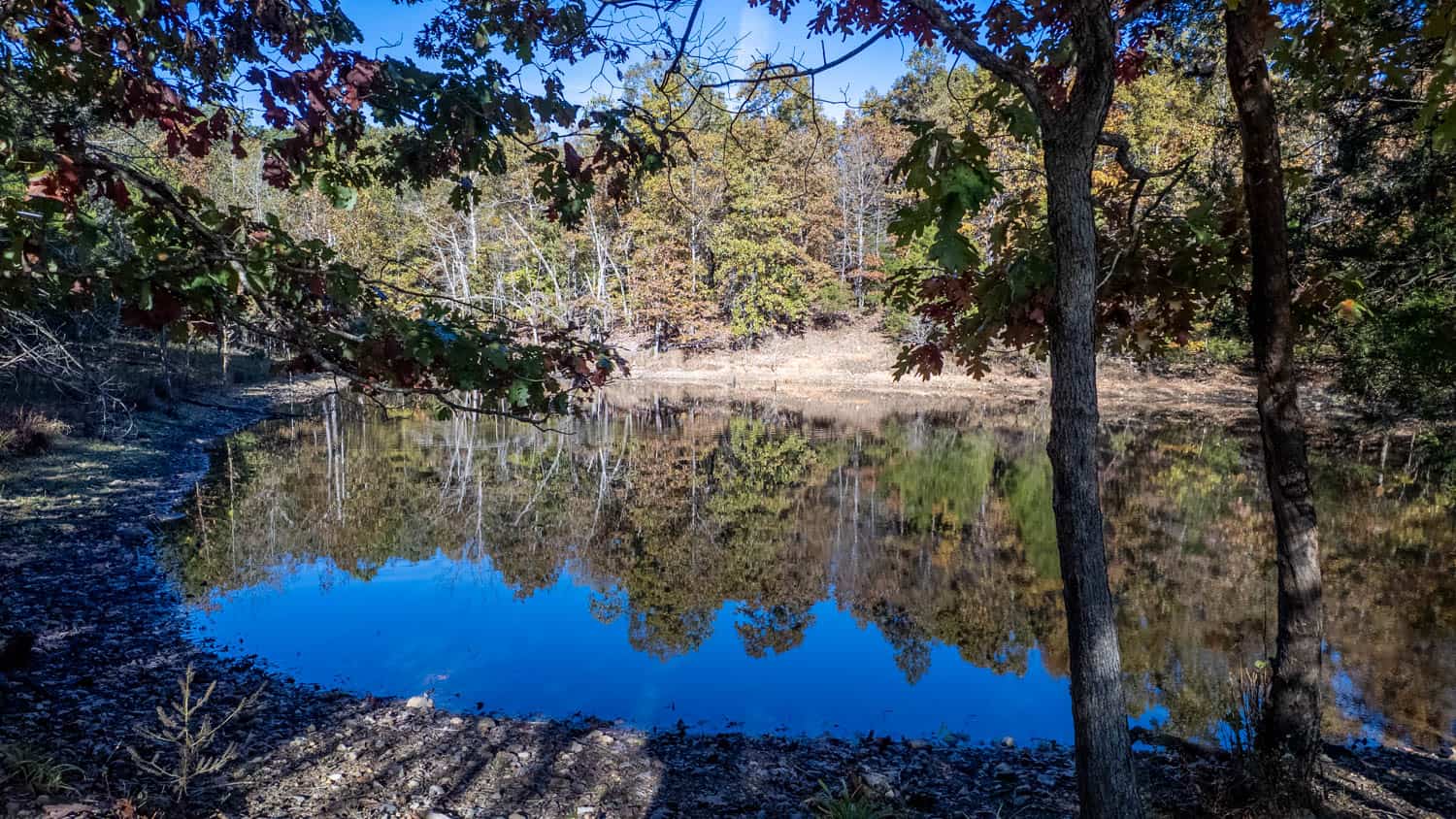 15256 Highway 9, Mammoth Spring, Arkansas