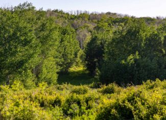 Buckhorn Lakes Ranch Investor Offering – 449± Acres of Premium Mountain Terrain for Sale