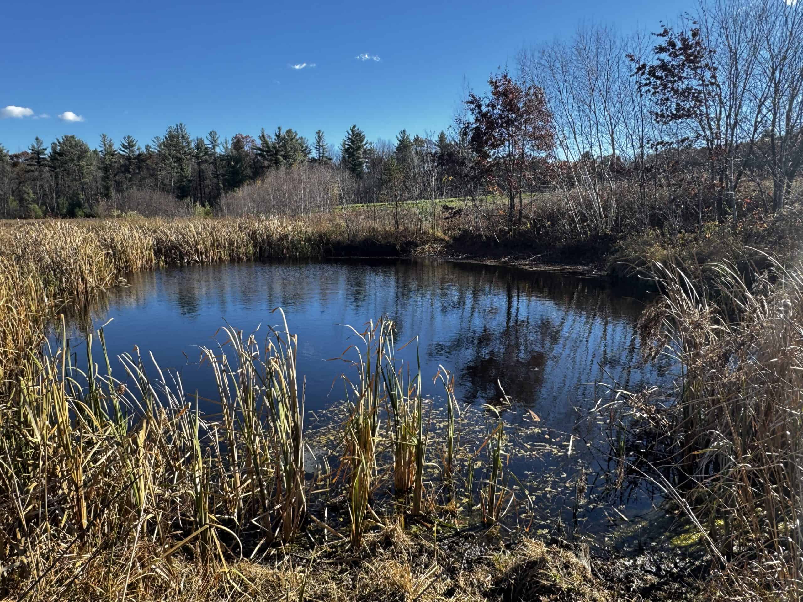 118± Acre Portage County WI Ag and Hunting Property
