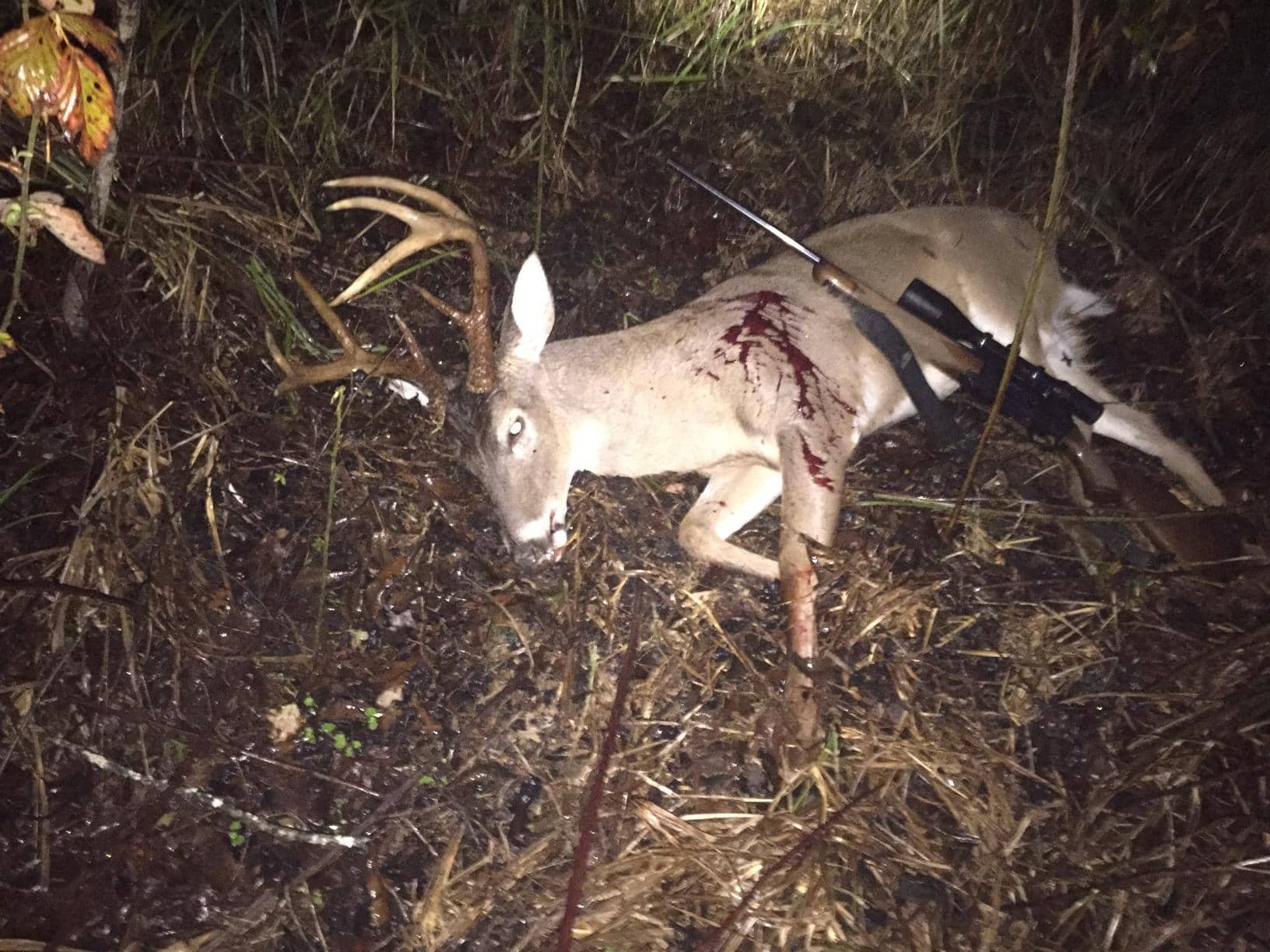 Premier Turnkey Duck & Deer Property With First Class Lodge