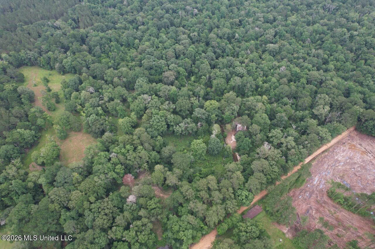 113± Acres for Sale in Osyka, MS on Tickfaw River