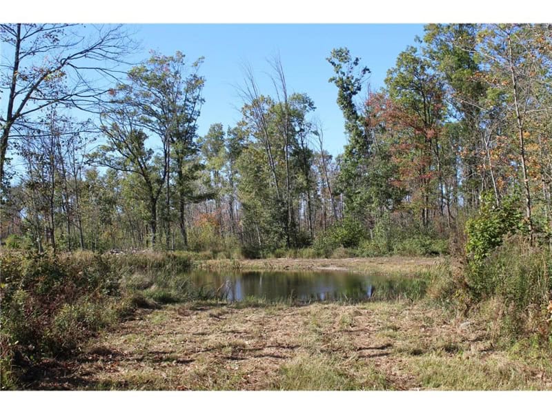 Northwoods Paradise w/ Trails & Ponds For Sale in Isle, MN